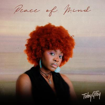 Peace Of MI-ND By Toby Grey, Terri's cover