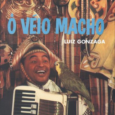 Ô Véio Macho By Luiz Gonzaga's cover