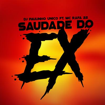 Saudade do Ex By DJ Paulinho Único, MC Rafa 22's cover