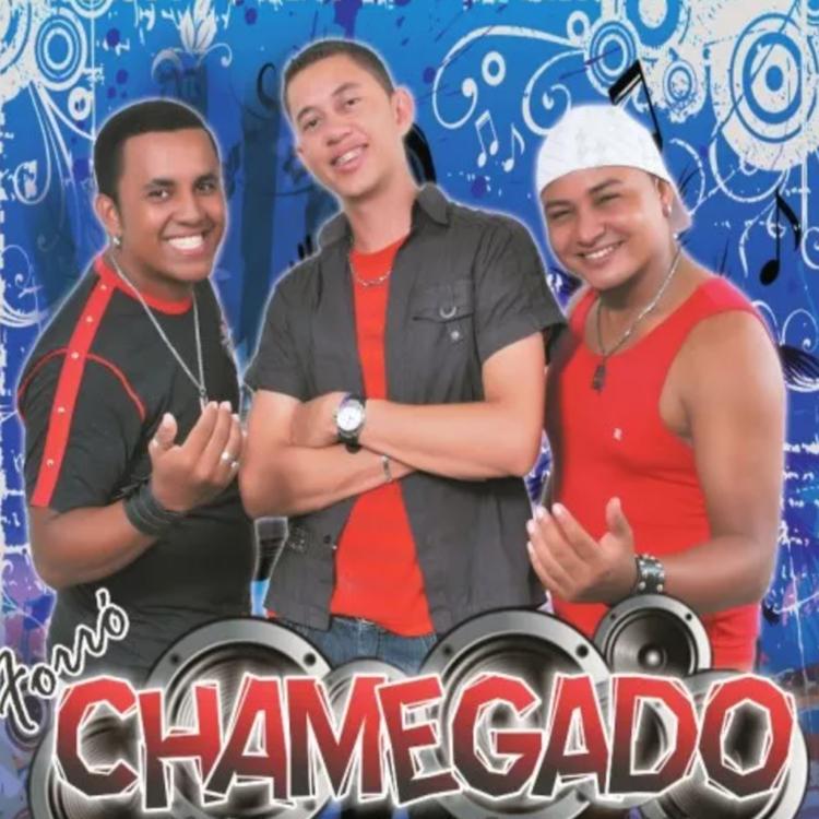Forró Chamegado's avatar image