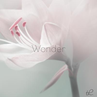 Wonder By Tiffany Hobson's cover