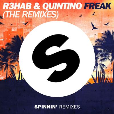 Freak (Sam Feldt Remix Edit) By R3HAB, Quintino's cover