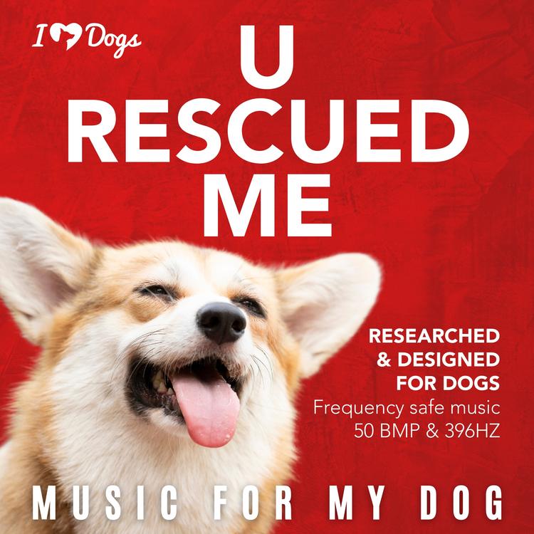 Music For My Dog's avatar image