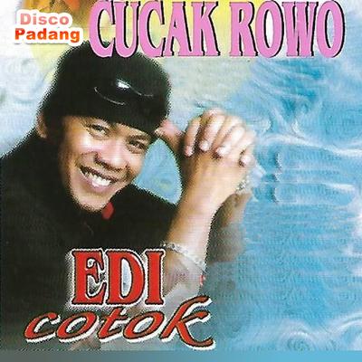 Disco Padang Cucak Rowo's cover