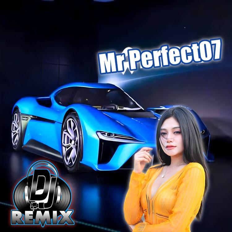 Mr Perfect07's avatar image