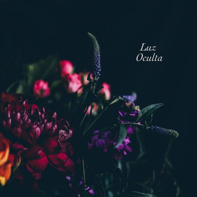Luz Oculta By Barracuda Sound's cover