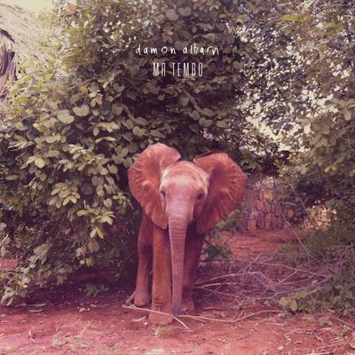 Mr Tembo's cover