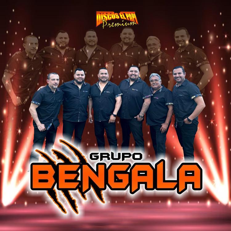 GRUPO BENGALA's avatar image