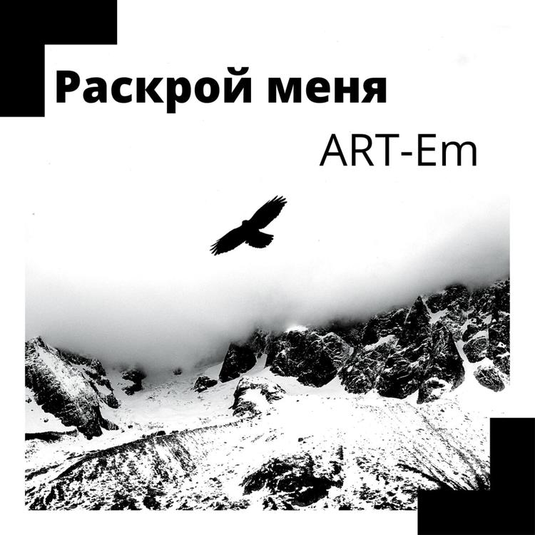 ART-EM's avatar image