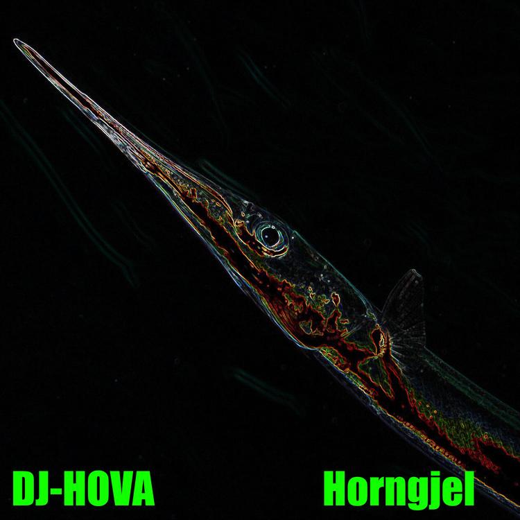 DJ-HOVA's avatar image