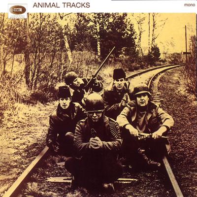 Animal Tracks's cover