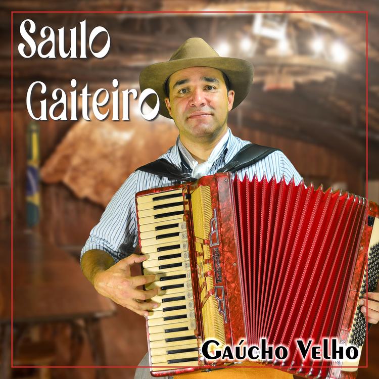 Saulo Gaiteiro's avatar image