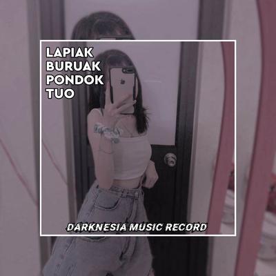 DJ LAPIAK BURUAK PONDOK TUO's cover