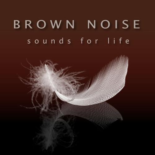 Brown noise (parar a mente)'s cover