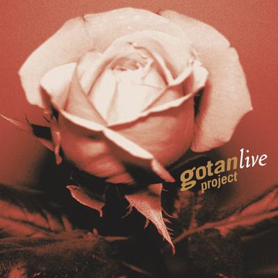 Gotan Project live's cover