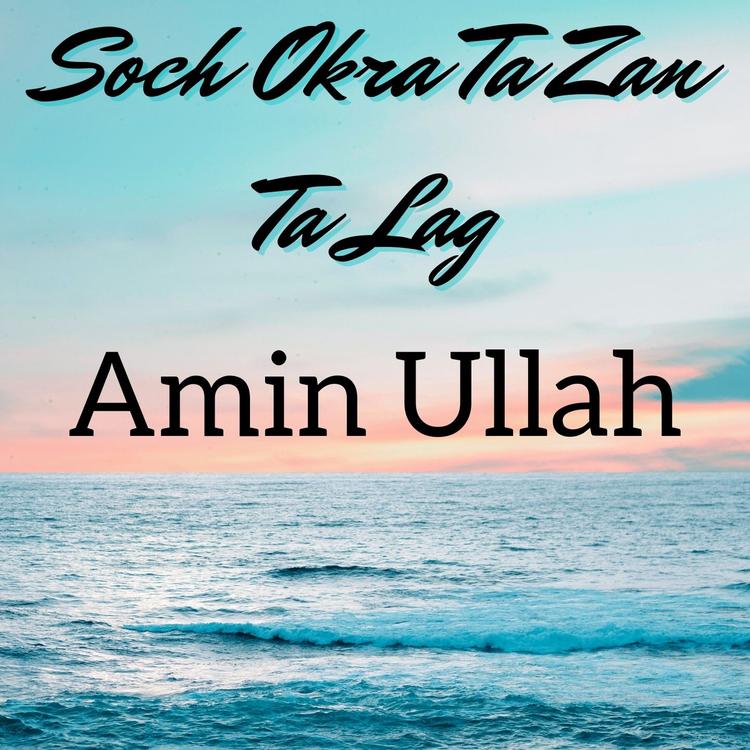 Amin Ullah's avatar image