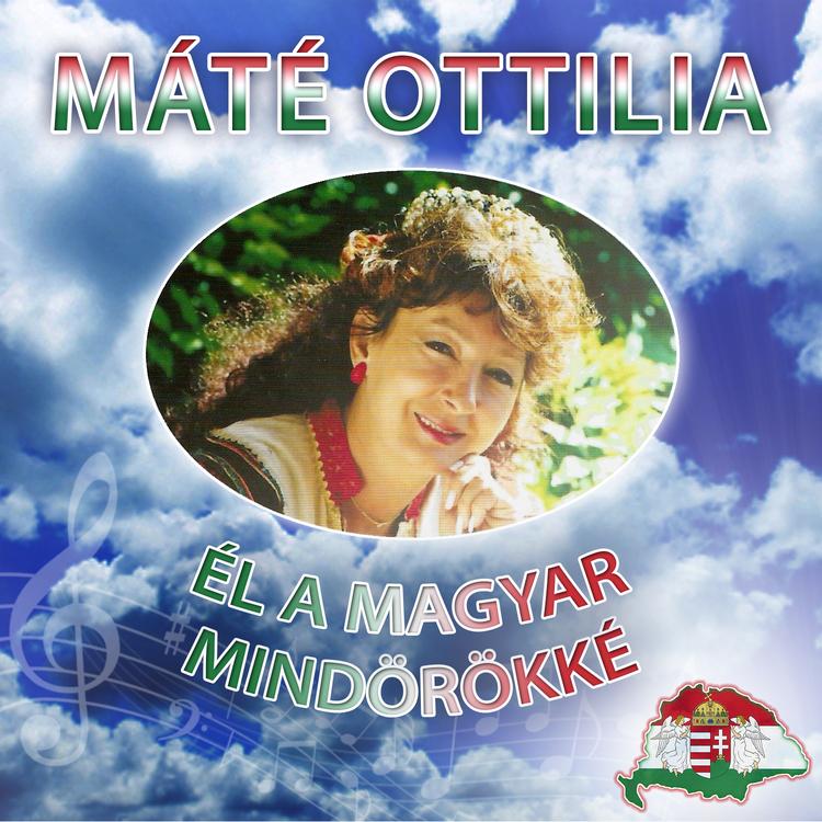 Máté Ottilia's avatar image