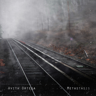Unfortunate Destiny By Avith Ortega's cover
