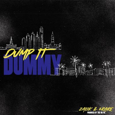 Dump It Dummy's cover