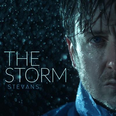 The Storm By Stevans's cover