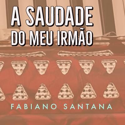 A Saudade Do Meu Irmão (Instrumental Version)'s cover