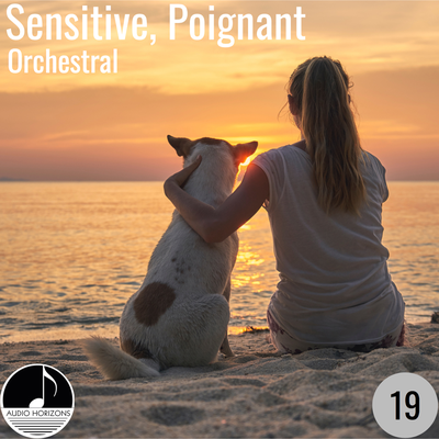 Sensitive, Poignant 19 Orchestral's cover