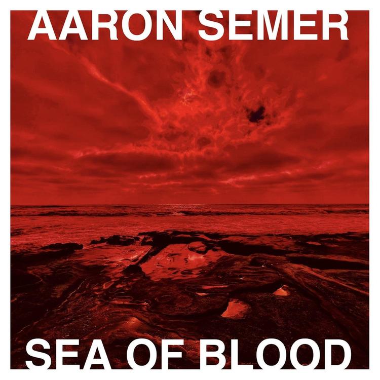 Aaron Semer's avatar image