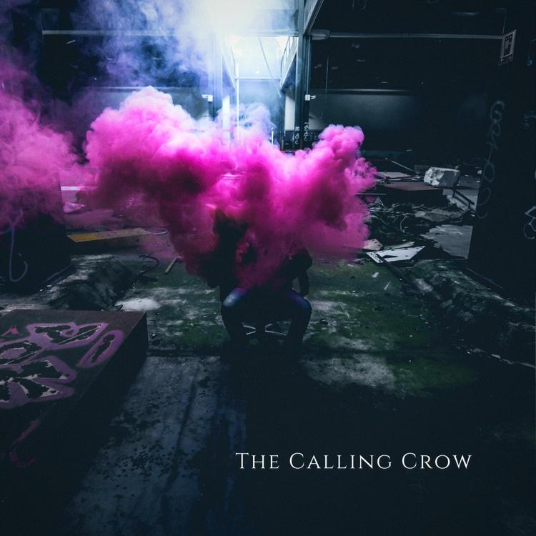 The Calling Crow's avatar image