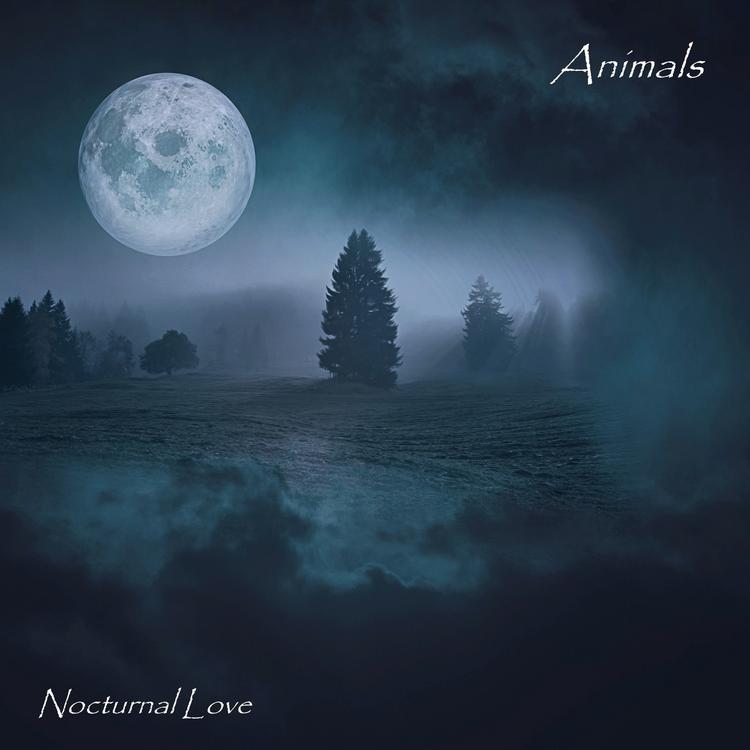 Nocturnal Love's avatar image