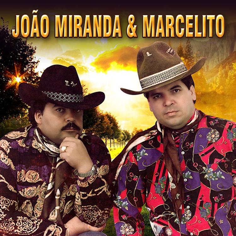 João Miranda & Marcelito's avatar image