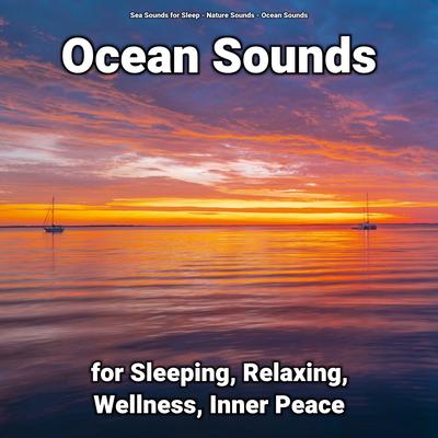 Ocean Sounds for Sleeping, Relaxing, Wellness, Inner Peace's cover