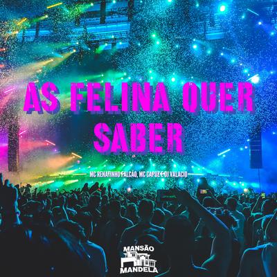 As Felina Quer Saber By MC Renatinho Falcão, MC Capuz, DJ Valacio's cover