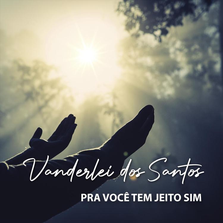 Vanderlei dos Santos's avatar image