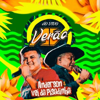 Amor de Rapariga (Ao Vivo) By Anderson & Vei da Pisadinha's cover