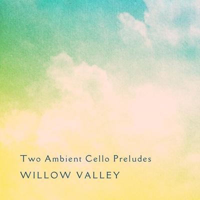 Aurora Arr. For Cello By Willow Valley's cover