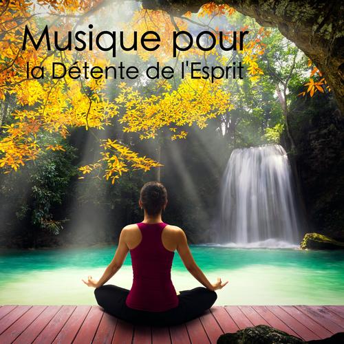 Musique pour la Détente de l'Esprit Official Tiktok Music