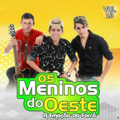 A Emoção do Forró - Vol 10's cover