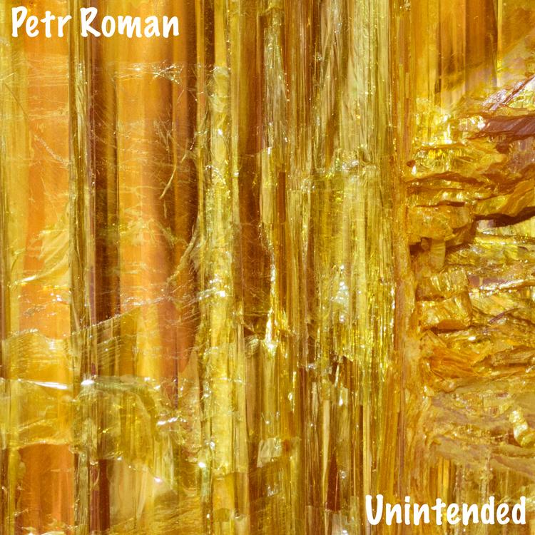 Petr Roman's avatar image