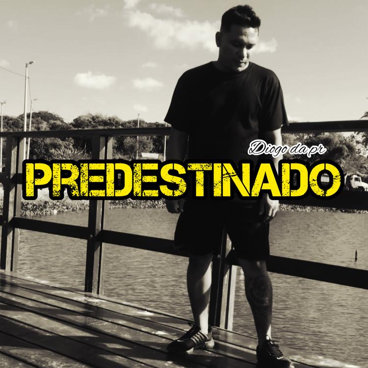 Diogo da PR's avatar image