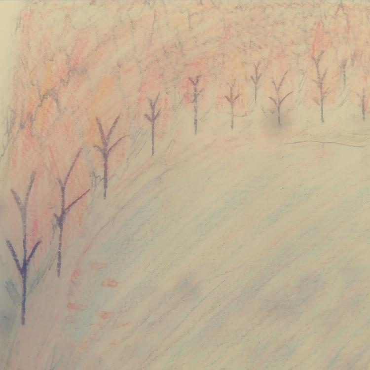 El bosque de las hojas naranjas's avatar image
