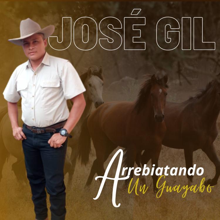 Jose Gil's avatar image