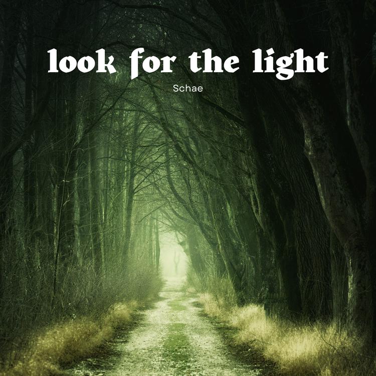 Look for the Light's avatar image