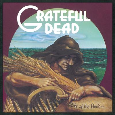 Mississippi Half-Step Uptown Toodeloo (Live at McGaw Memorial Hall, Northwestern University, Evanston, IL, 11/1/73) By Grateful Dead's cover
