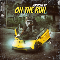 Rockout Ty's avatar cover