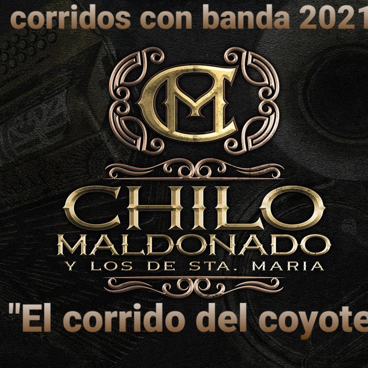 Chilo Maldonado y Los de Sta Maria's avatar image
