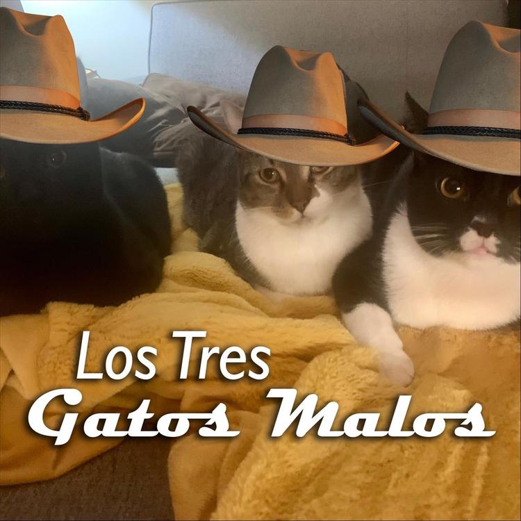 Los Tres Gatos Malos's avatar image