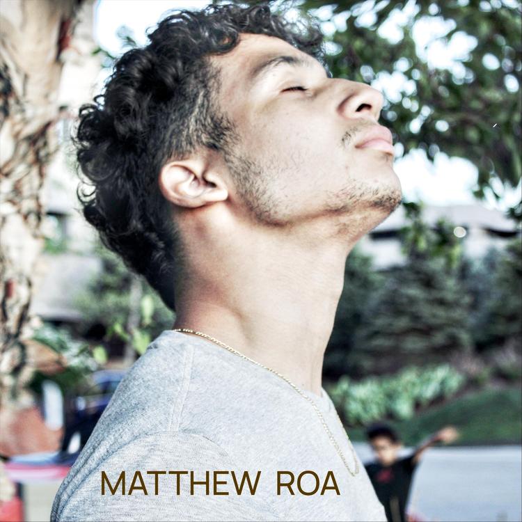 Matthew Roa's avatar image