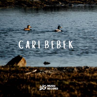 CARI BEBEK (Instrumental)'s cover