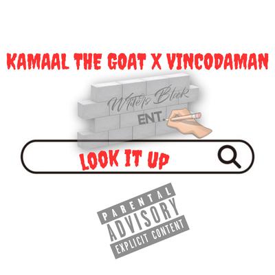 Vincodaman's cover