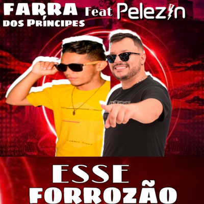 Esse Forrozão's cover